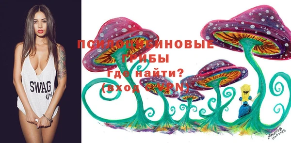 ПСИЛОЦИБИНОВЫЕ ГРИБЫ Наволоки