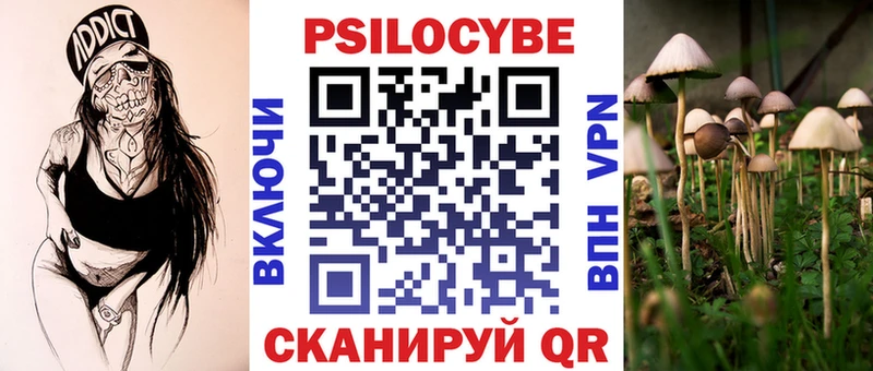omg   Северская  Псилоцибиновые грибы мухоморы 
